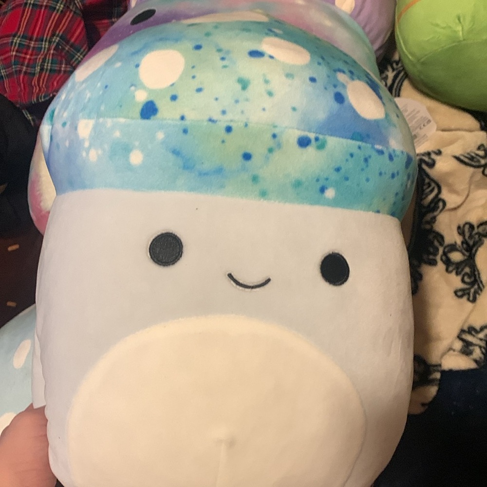 HUGE Mushroom Squishmallow bundle NWT, almost every mushroom squishmallow - Picture 8 of 11